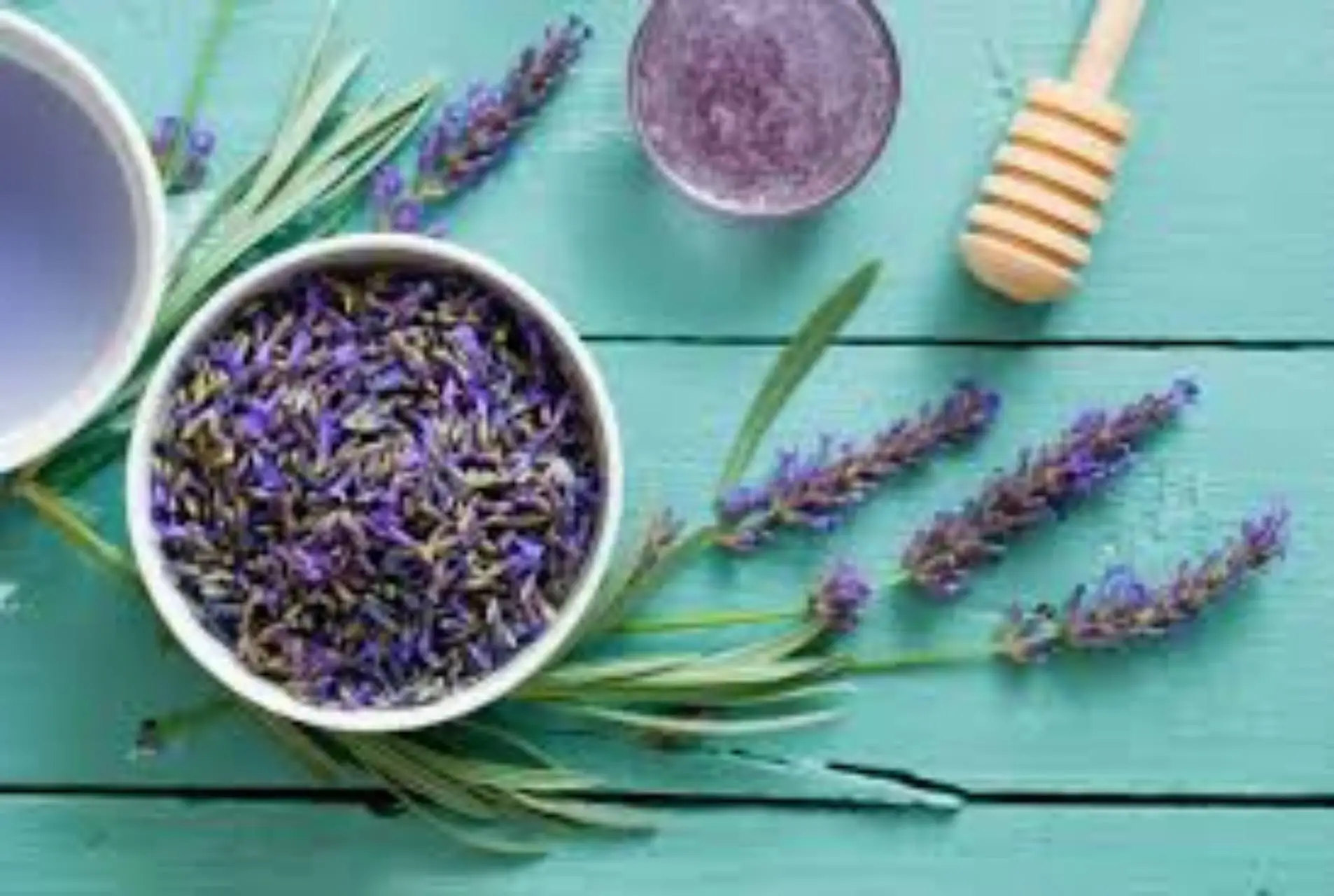 Rendi unico il tuo giardino: ecco la pianta che trasforma ogni spazio in un’oasi di profumi Immagine selezionata