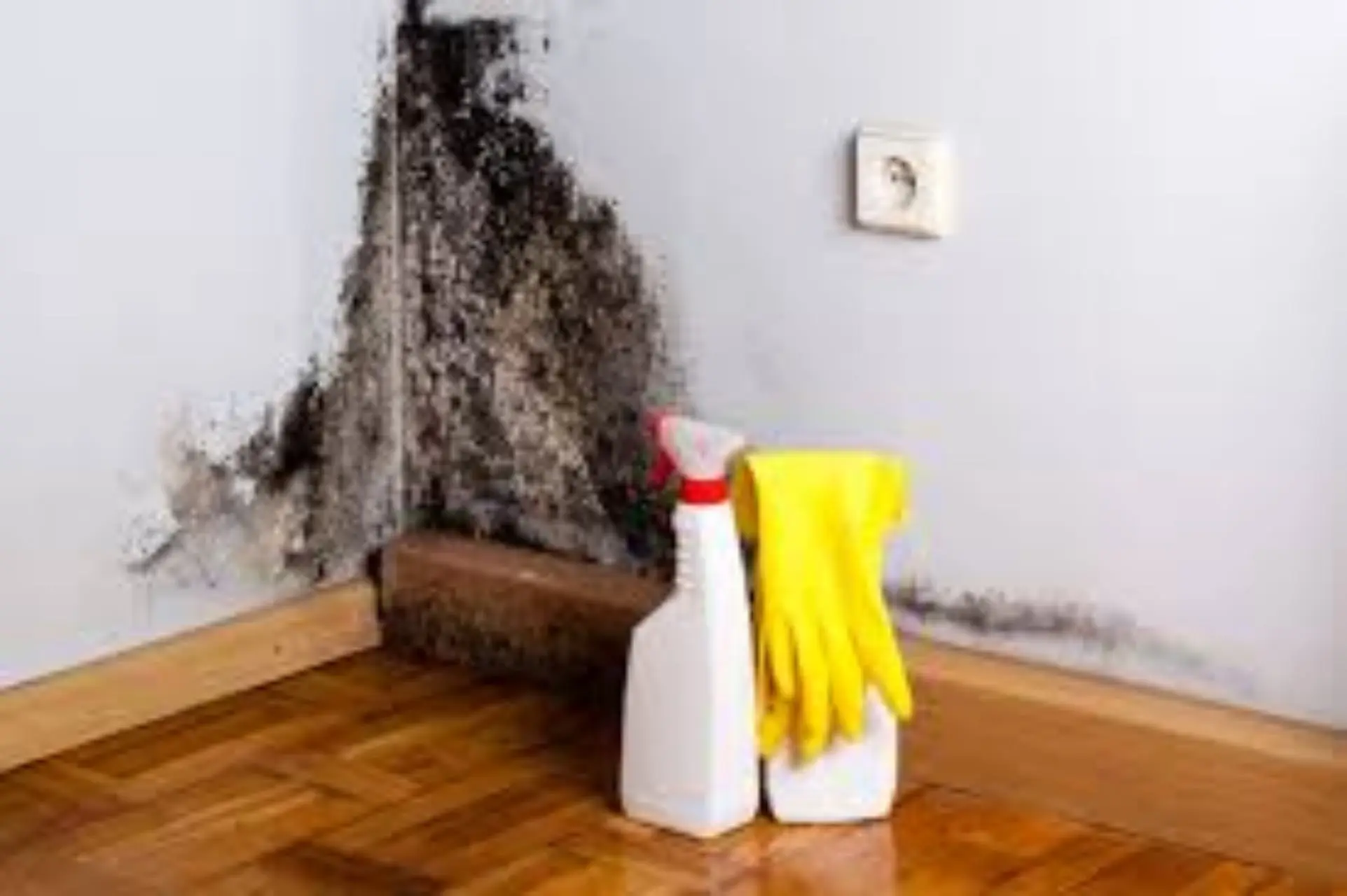 Come eliminare definitivamente la muffa da tuo bagno Immagine selezionata