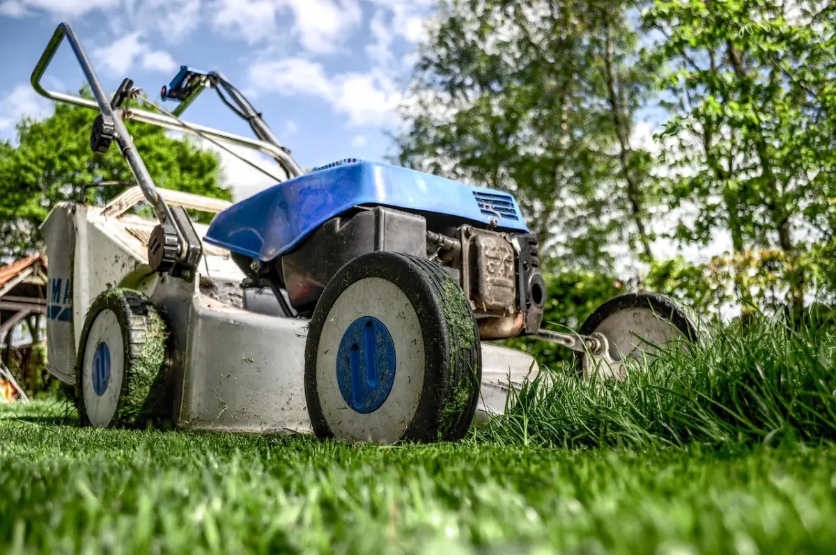 Il gesto in giardino che inquina più dell’auto: anche tu fai questo ogni primavera? Il gesto in giardino che inquina più dell’auto: anche tu fai questo ogni primavera?