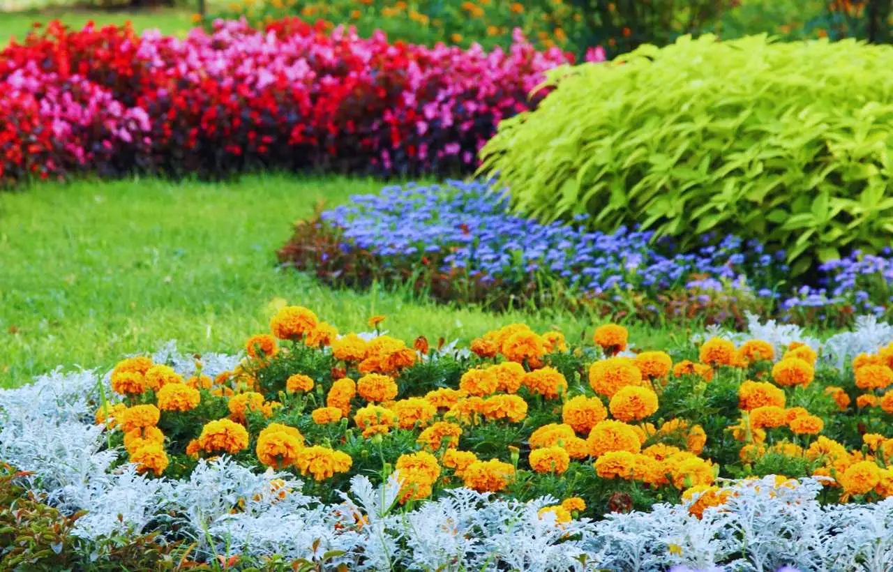 Il gesto in giardino che inquina più dell’auto: anche tu fai questo ogni primavera? Il gesto in giardino che inquina più dell’auto: anche tu fai questo ogni primavera?