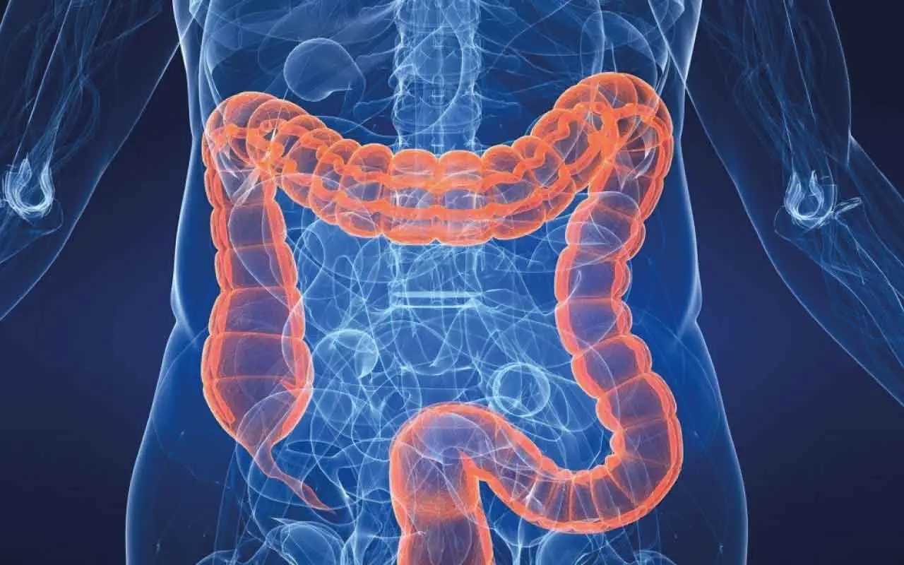 Fermenti lattici e gonfiore: quando servono davvero e quali scegliere Fermenti lattici e gonfiore: quando servono davvero e quali scegliere