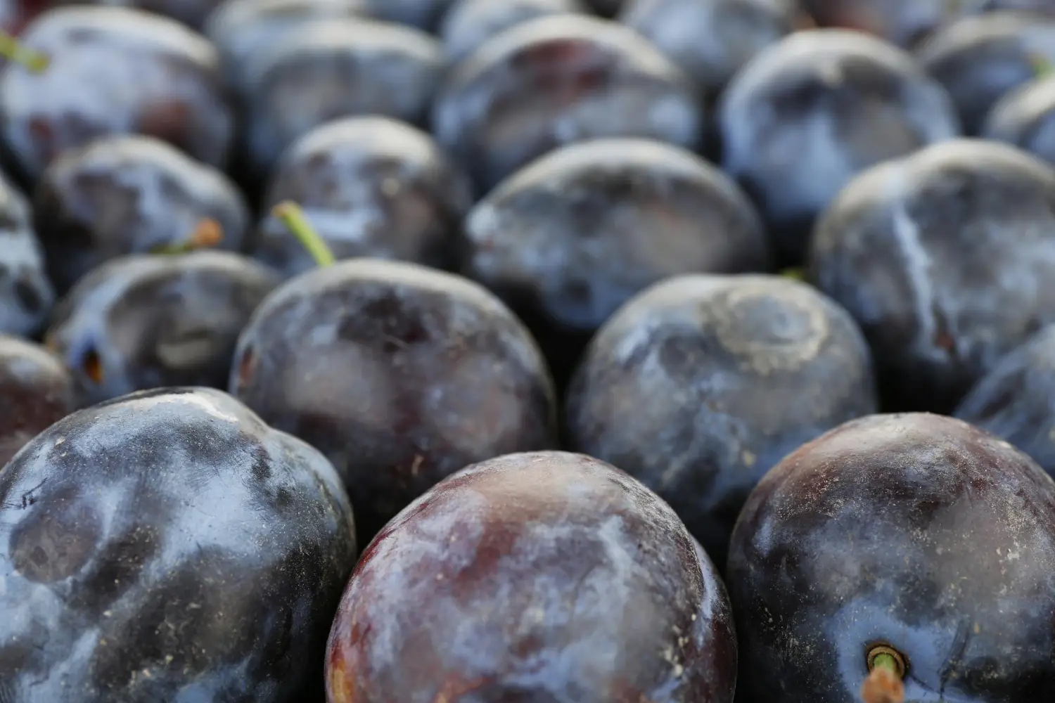 Stitichezza e gonfiore? Ecco i 5 cibi che aiutano a liberare l’intestino Stitichezza e gonfiore? Ecco i 5 cibi che aiutano a liberare l’intestino