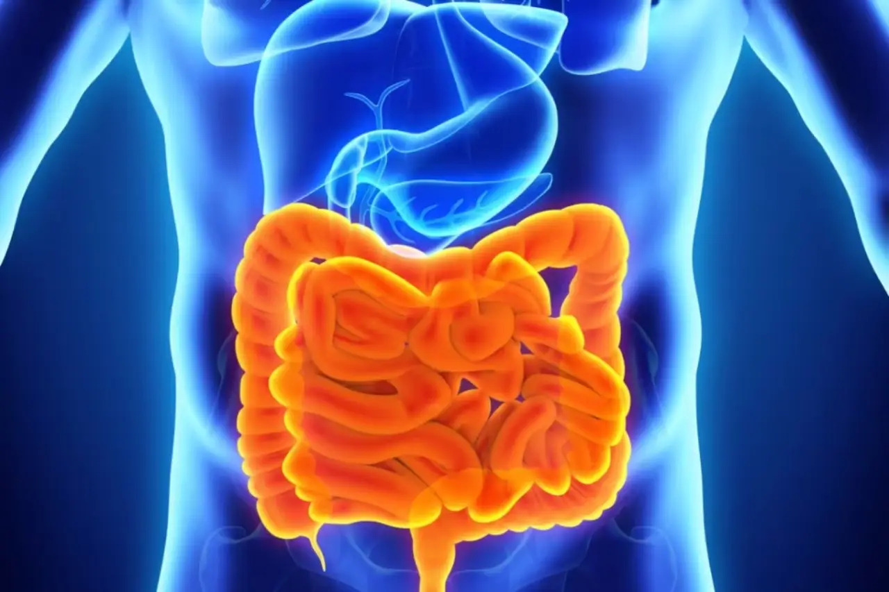 Ecco i segnali di uno squilibrio della flora intestinale e cosa fare per ripristinarla Ecco i segnali di uno squilibrio della flora intestinale e cosa fare per ripristinarla