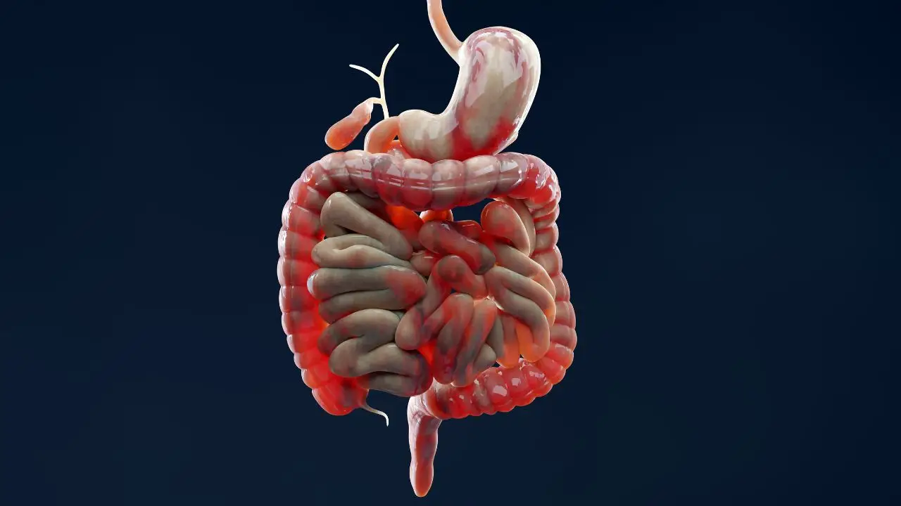 Ecco i segnali di uno squilibrio della flora intestinale e cosa fare per ripristinarla Ecco i segnali di uno squilibrio della flora intestinale e cosa fare per ripristinarla