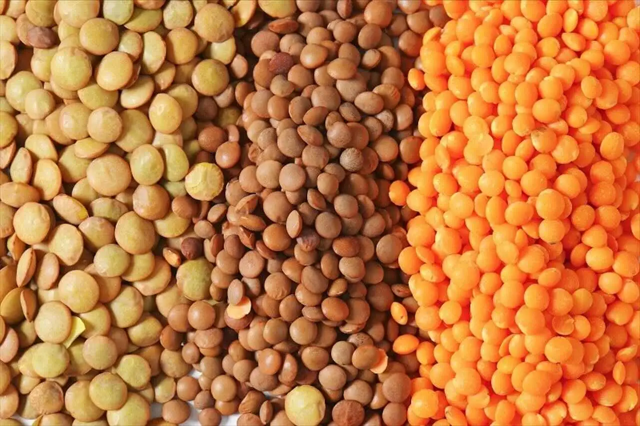 Come rendere le lenticchie più saporite: il metodo consigliato dagli chef Come rendere le lenticchie più saporite: il metodo consigliato dagli chef