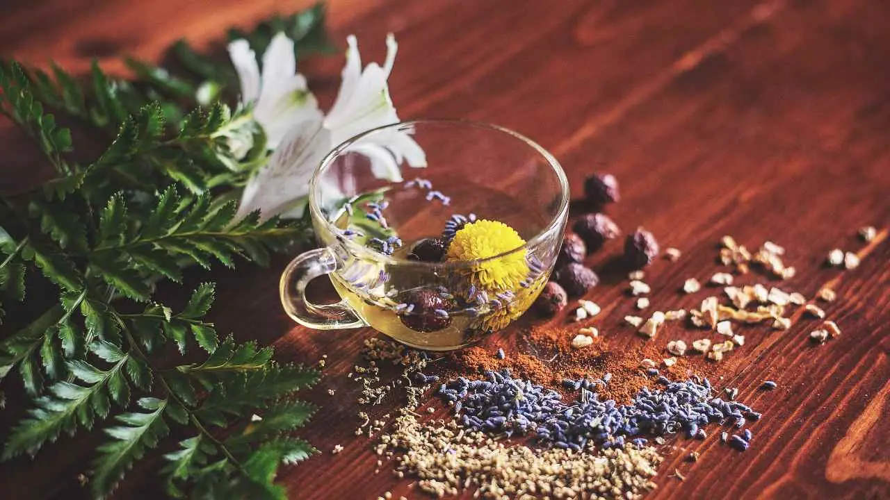 Come gestire i livelli di zucchero nel sangue con una tisana serale secondo la nutrizionista Come gestire i livelli di zucchero nel sangue con una tisana serale secondo la nutrizionista