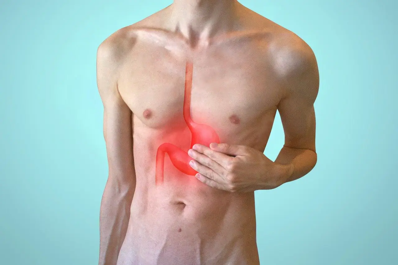 Rimedi naturali per la digestione lenta: cosa consiglia il fitoterapeuta Rimedi naturali per la digestione lenta: cosa consiglia il fitoterapeuta