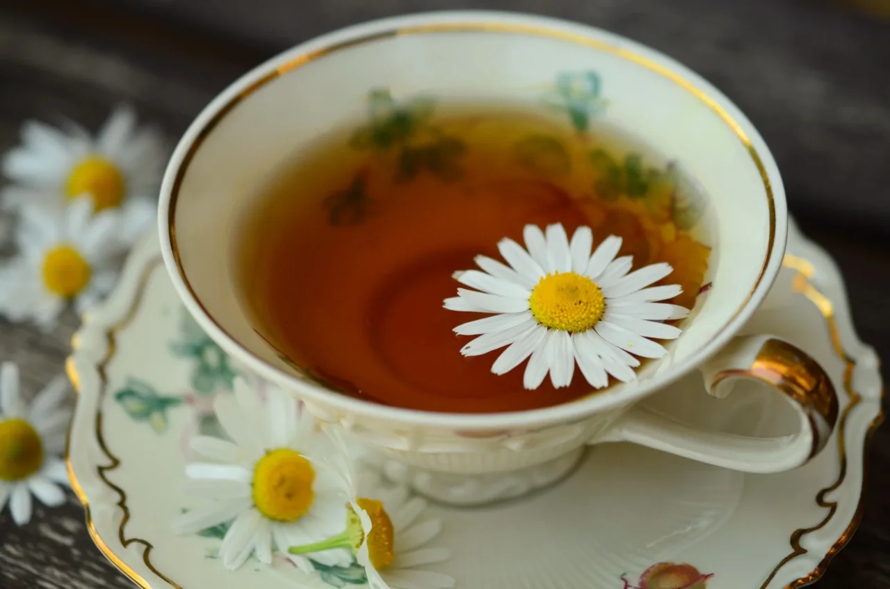 Come integrare la camomilla nella routine serale per ridurre lo stress quotidiano Come integrare la camomilla nella routine serale per ridurre lo stress quotidiano