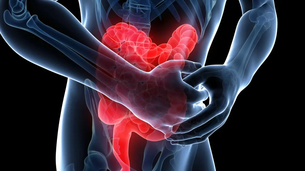 Stitichezza e gonfiore? Ecco i 5 cibi che aiutano l’intestino Stitichezza e gonfiore? Ecco i 5 cibi che aiutano l’intestino