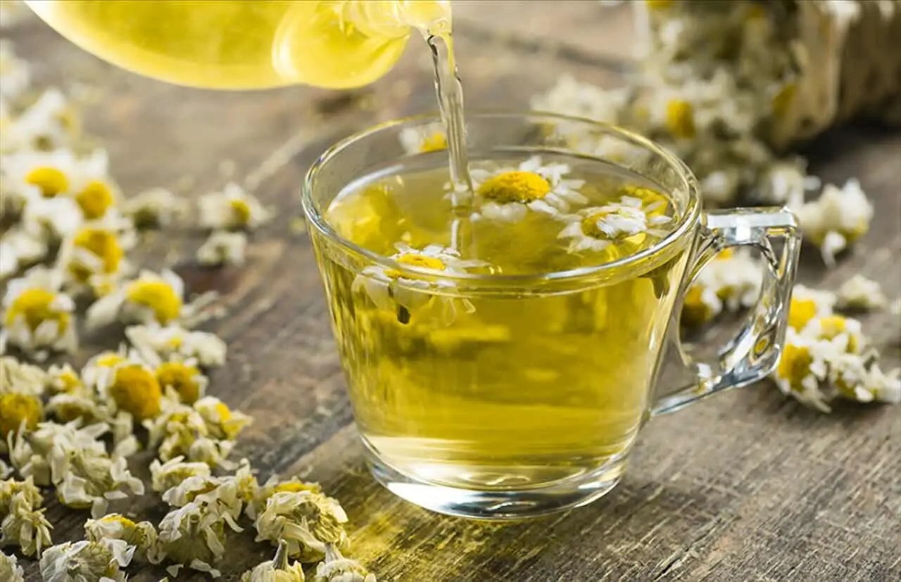 Come integrare la camomilla nella routine serale per ridurre lo stress quotidiano Come integrare la camomilla nella routine serale per ridurre lo stress quotidiano