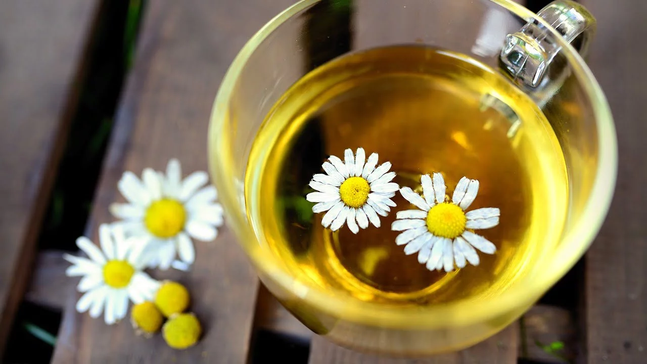 Come integrare la camomilla nella routine serale per ridurre lo stress quotidiano Come integrare la camomilla nella routine serale per ridurre lo stress quotidiano