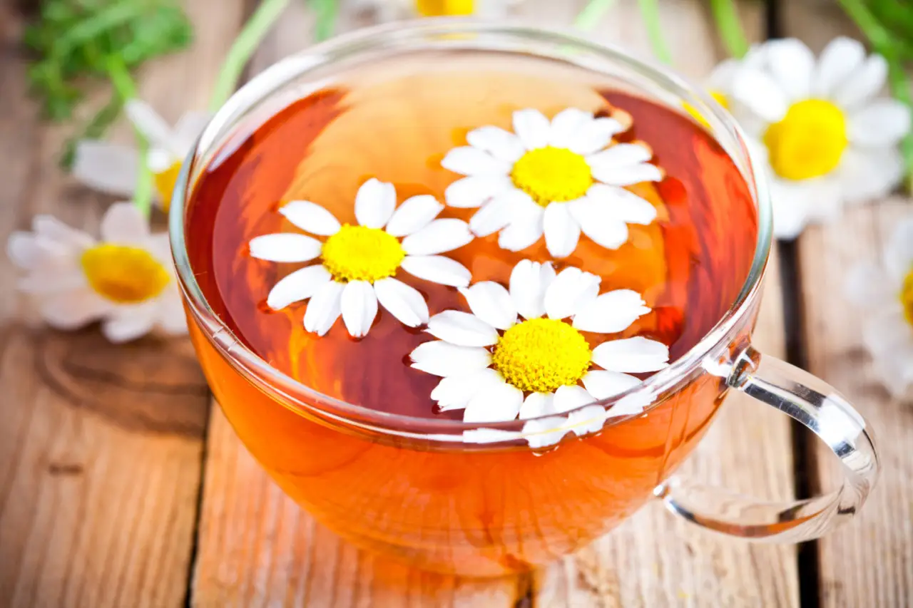 Come integrare la camomilla nella routine serale per ridurre lo stress quotidiano Come integrare la camomilla nella routine serale per ridurre lo stress quotidiano