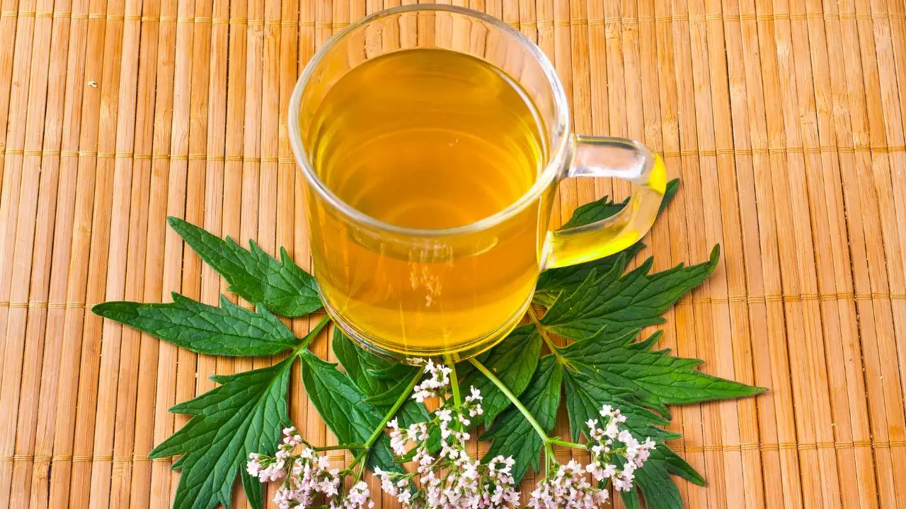 Come scegliere gli ingredienti per una tisana digestiva secondo l’erborista Come scegliere gli ingredienti per una tisana digestiva secondo l’erborista