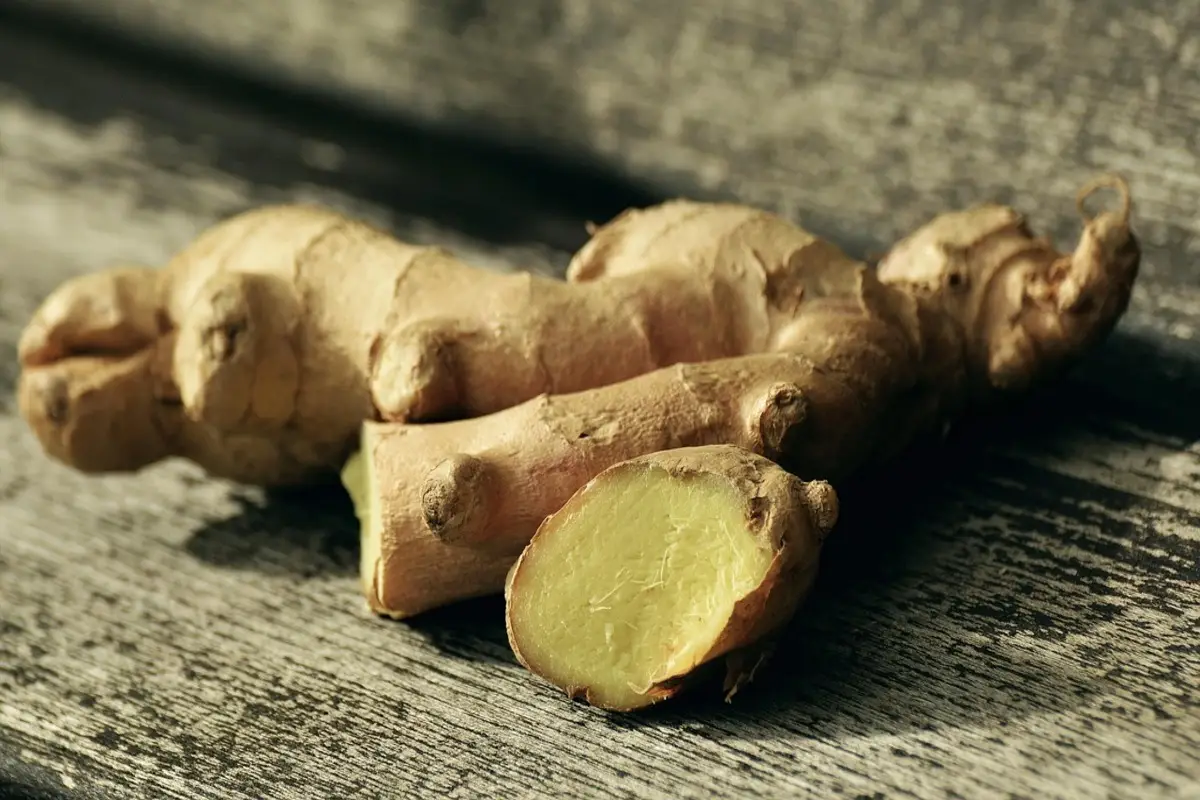 Il segreto tibetano per una digestione perfetta Il segreto tibetano per una digestione perfetta