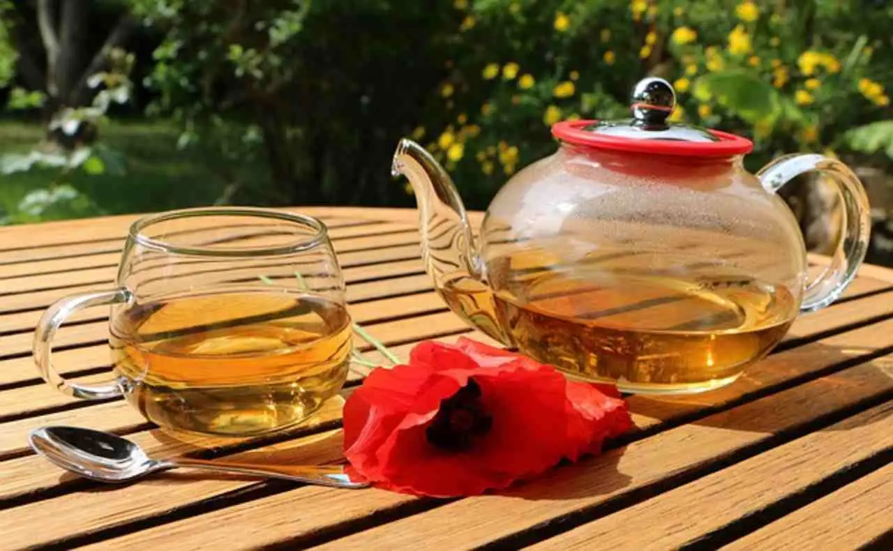 Come migliorare la qualità del sonno con una tisana rilassante secondo l’erborista Come migliorare la qualità del sonno con una tisana rilassante secondo l’erborista