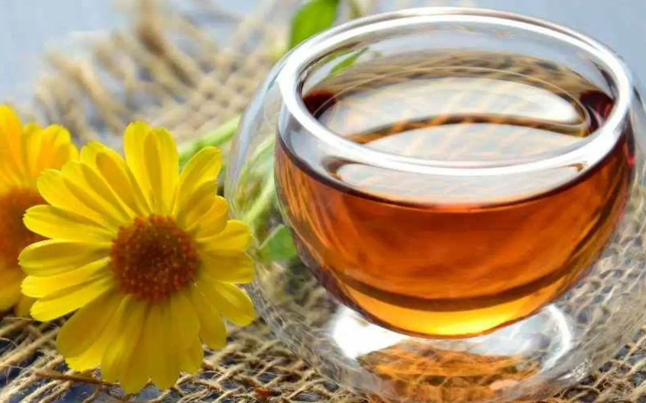 Tè rooibos prima di dormire: scopri i vantaggi per la qualità del riposo Tè rooibos prima di dormire: scopri i vantaggi per la qualità del riposo