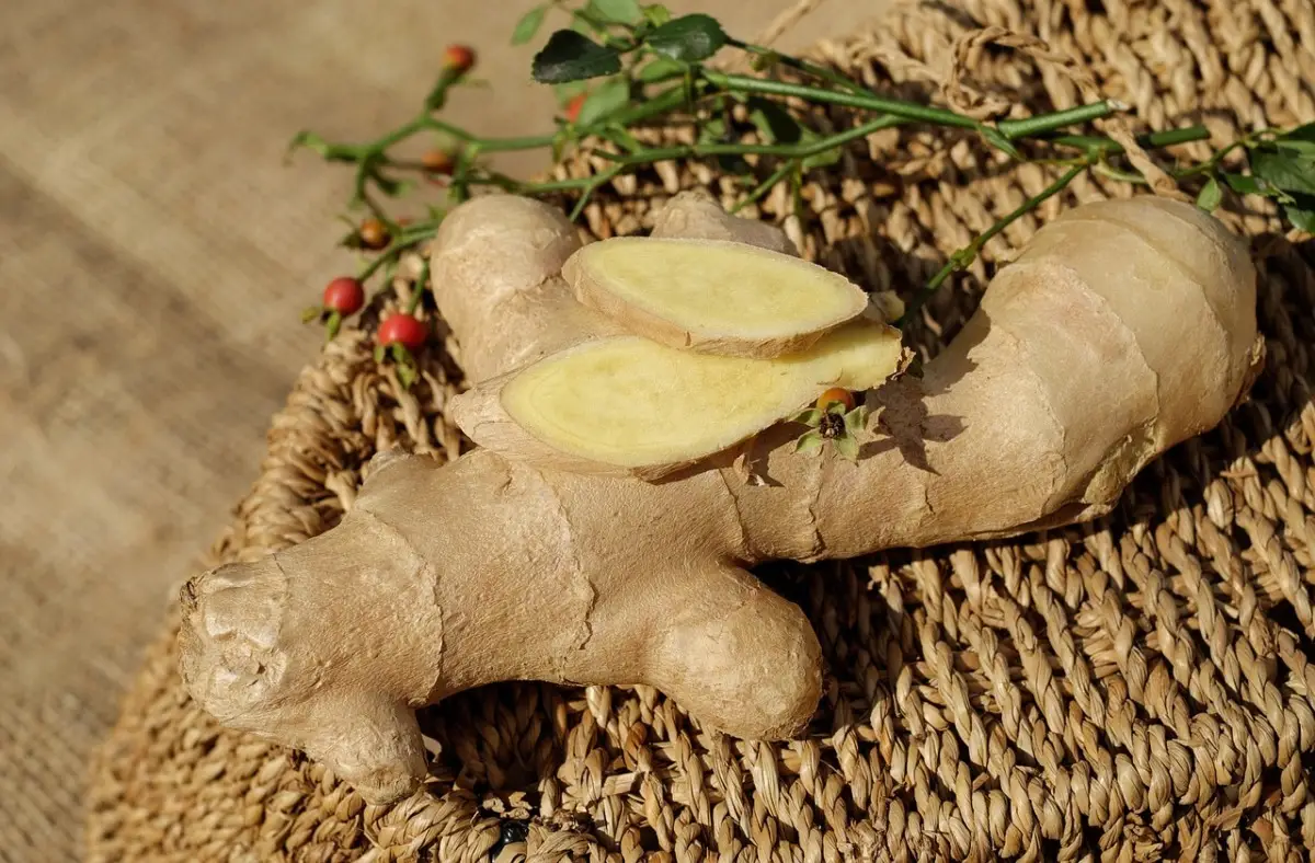 Acqua aromatizzata con zenzero: la ricetta per sostenere il sistema immunitario nelle sere fredde Acqua aromatizzata con zenzero: la ricetta per sostenere il sistema immunitario nelle sere fredde