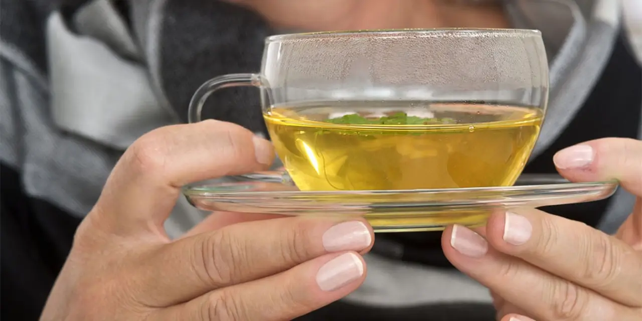 Infuso di finocchio: come supportare la digestione delicatamente ogni sera Infuso di finocchio: come supportare la digestione delicatamente ogni sera