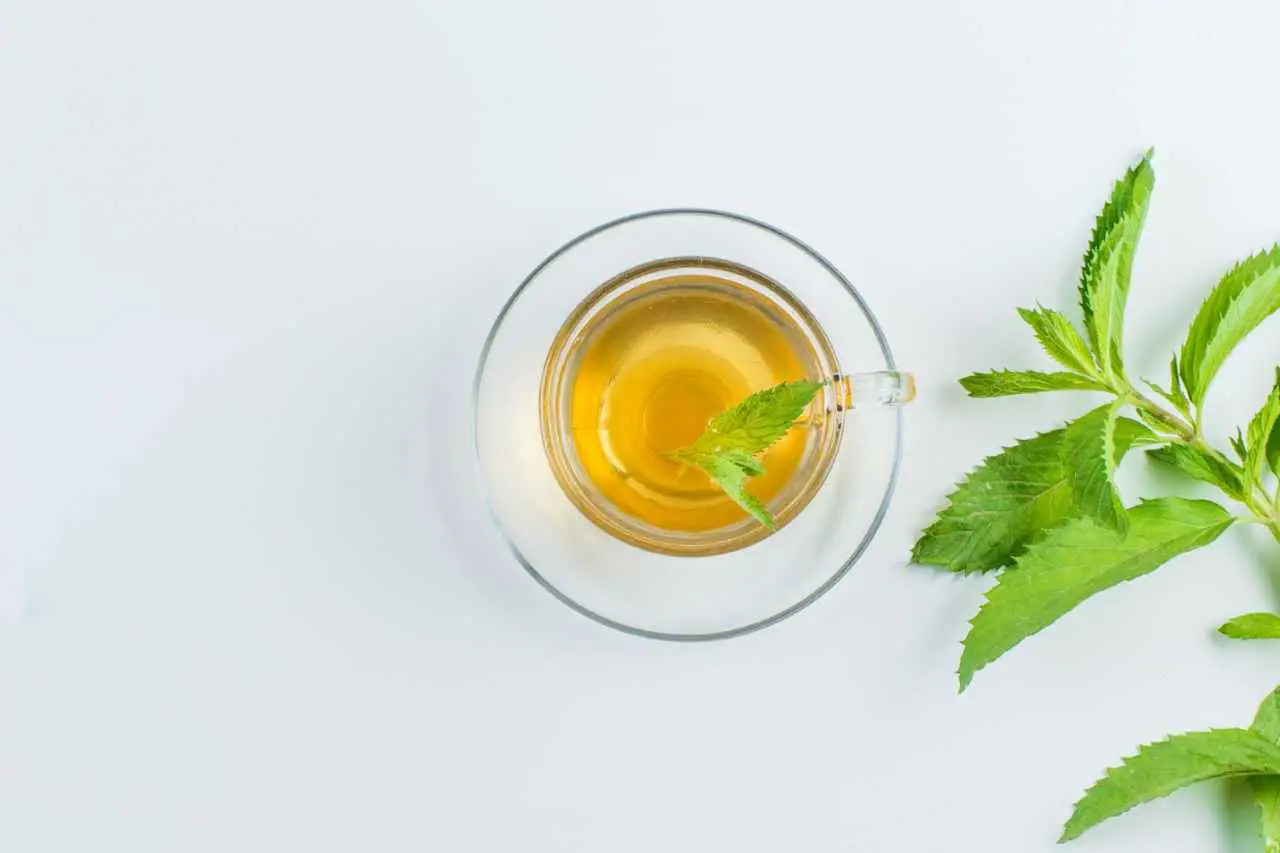 Come scegliere una tisana rilassante per migliorare la qualità del sonno secondo l’erborista Come scegliere una tisana rilassante per migliorare la qualità del sonno secondo l’erborista