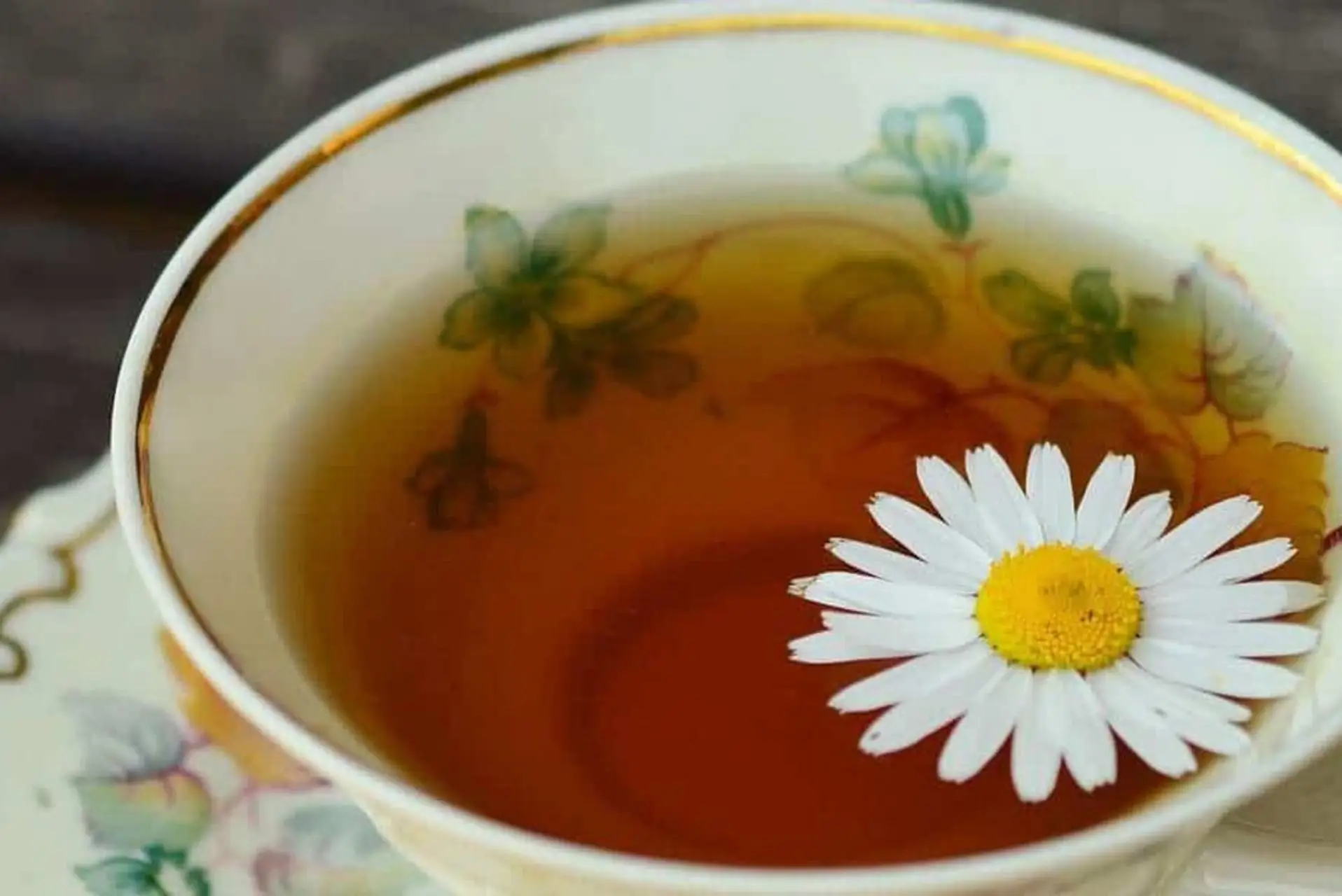 Come scegliere una tisana rilassante per migliorare la qualità del sonno secondo l’erborista Come scegliere una tisana rilassante per migliorare la qualità del sonno secondo l’erborista