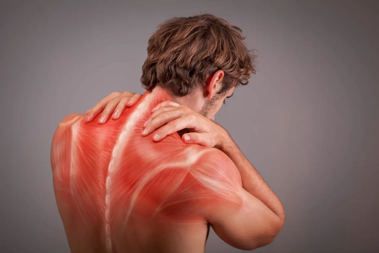 Scopri i migliori rimedi naturali per alleviare la tensione muscolare serale Scopri i migliori rimedi naturali per alleviare la tensione muscolare serale