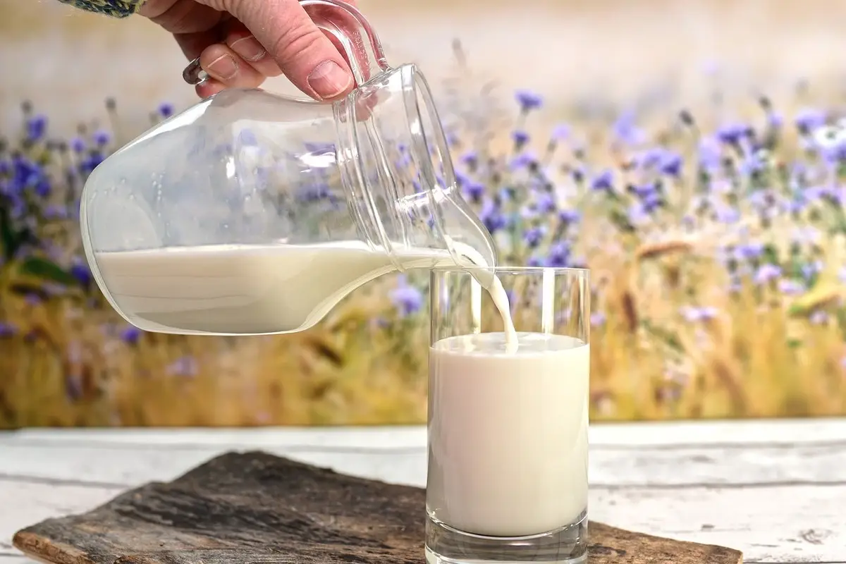 Latte vegetale caldo prima di dormire: i consigli del nutrizionista Latte vegetale caldo prima di dormire: i consigli del nutrizionista