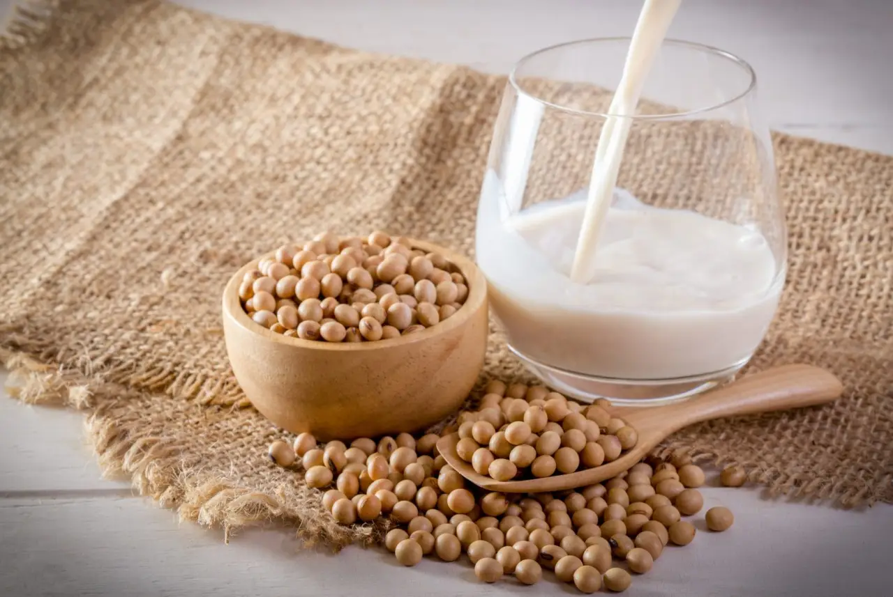 Latte vegetale caldo prima di dormire: i consigli del nutrizionista Latte vegetale caldo prima di dormire: i consigli del nutrizionista