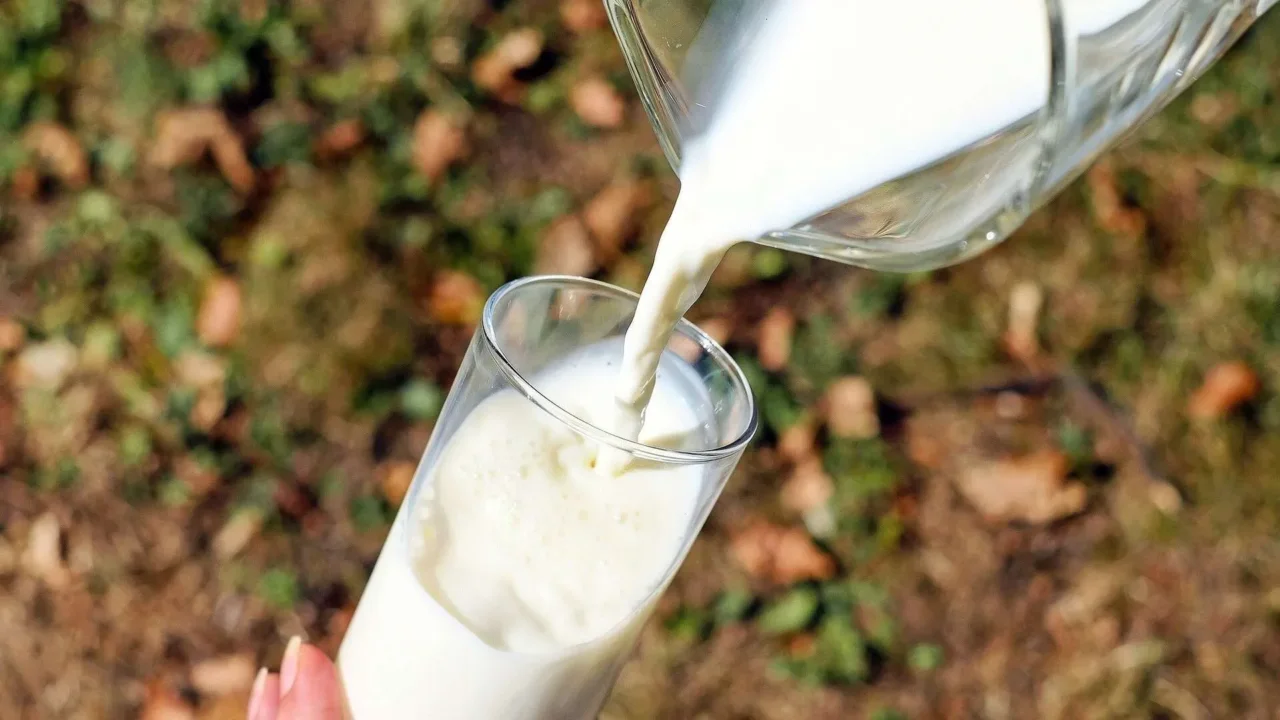 Latte vegetale caldo prima di dormire: i consigli del nutrizionista Latte vegetale caldo prima di dormire: i consigli del nutrizionista
